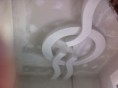 /album/gkaleri/received-10206388194933403-jpeg/